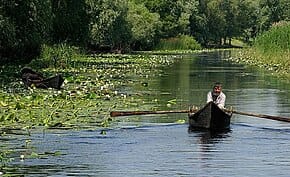 Delta Dunării - Wikipedia