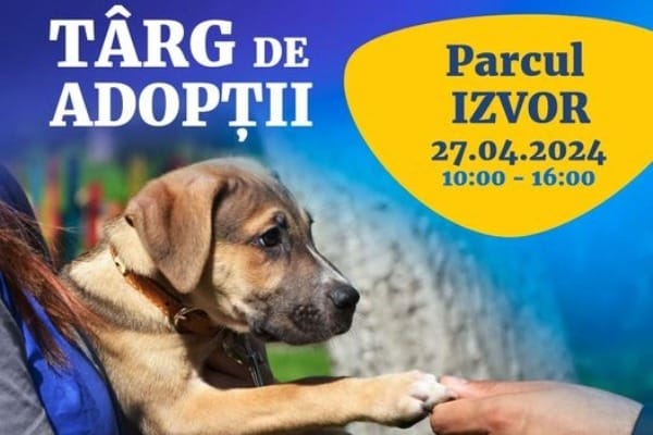 440752022 755315590109481 250521637677296469 n