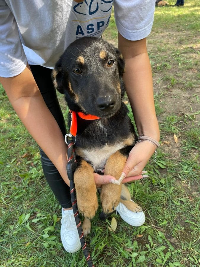 454614737 820638946910478 3431932060929477055 n