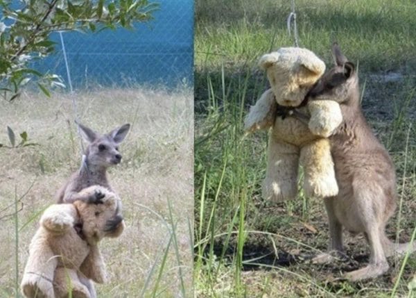 521314334 1220623930109002 5827167906169146197 n 1 e1753346811251