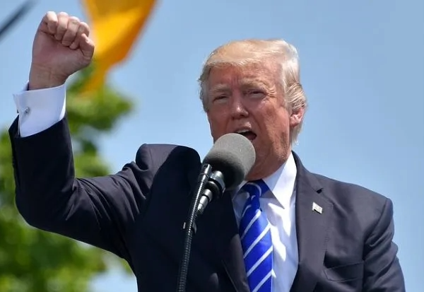 Adobe Express file 3 1