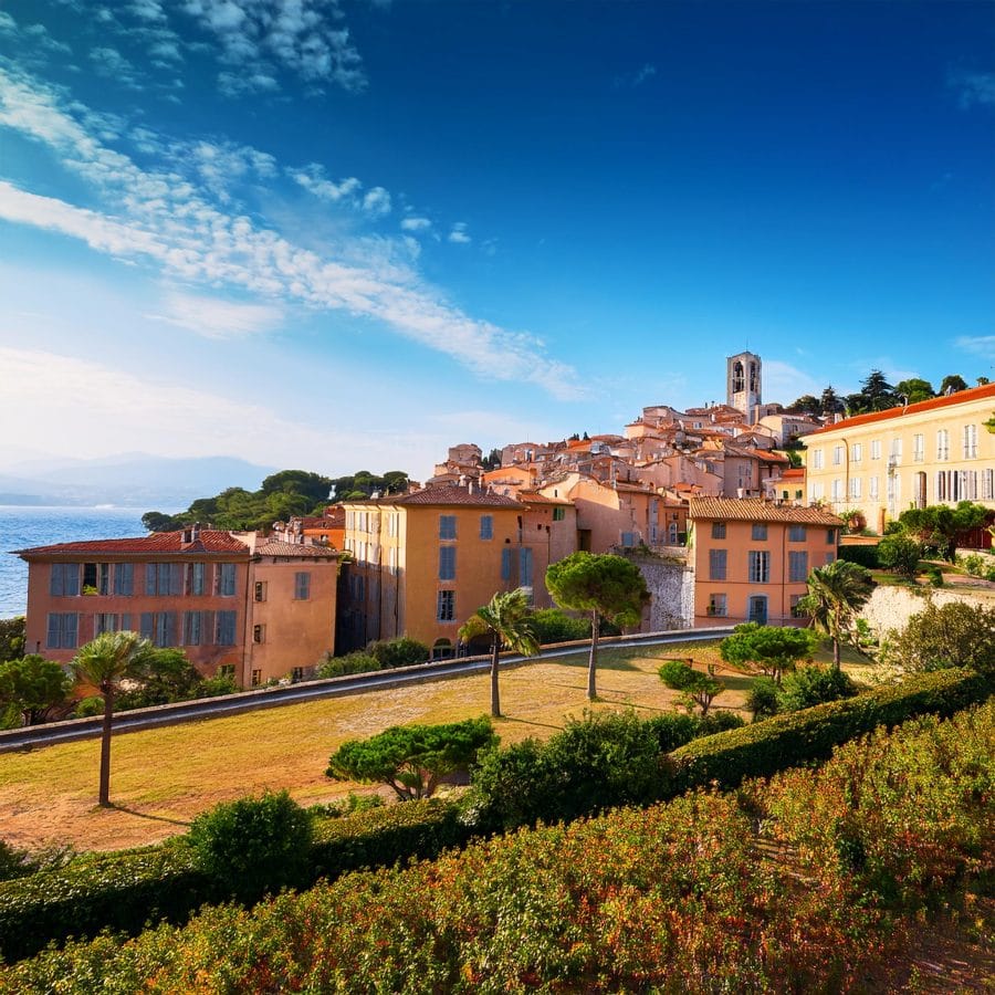 Firefly buildings from Grasse France 32178