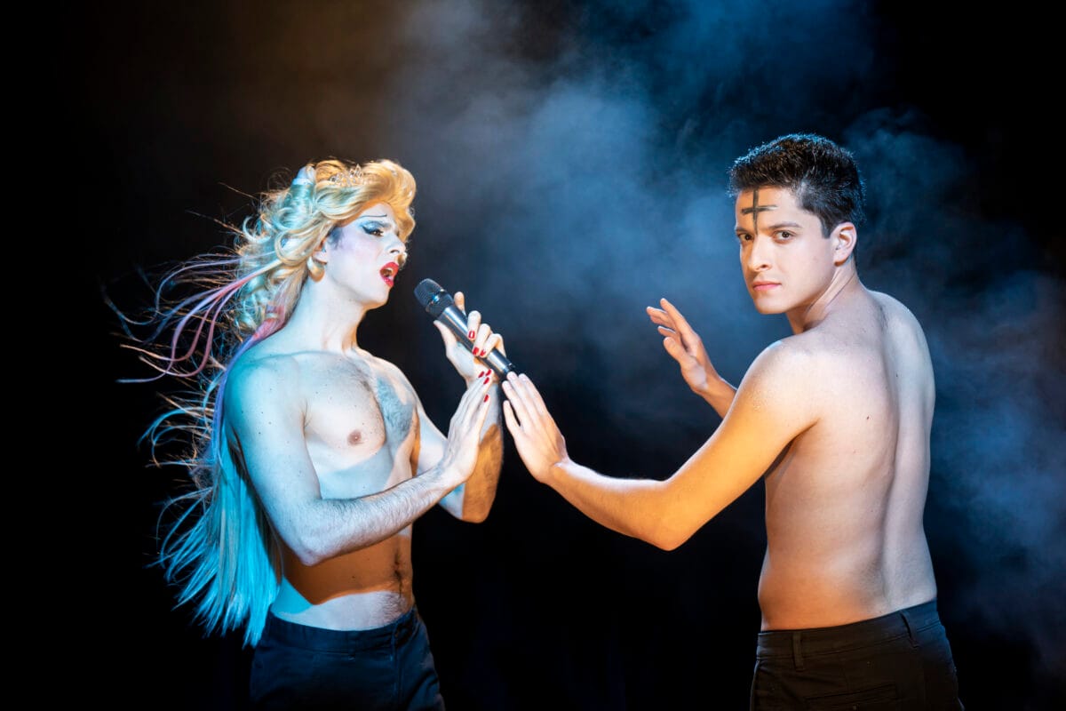 Hedwig foto Andrei Gindac28 scaled