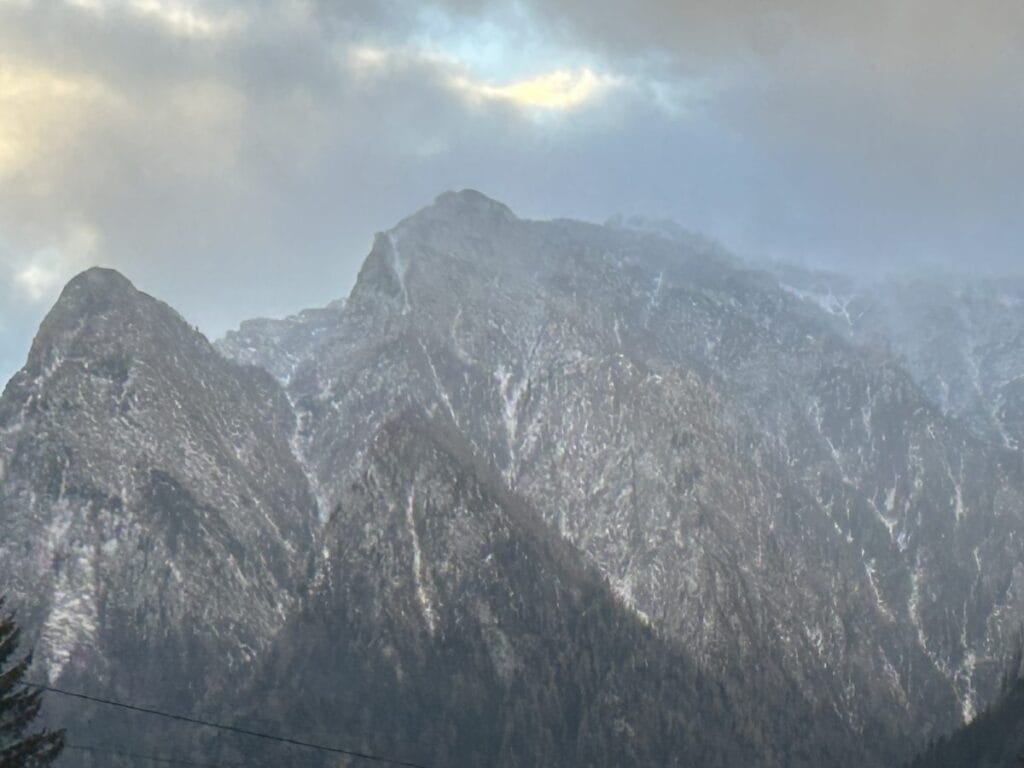 IMG 0739