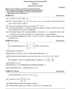 Subiecte mate info real 1