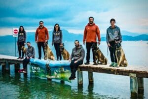 Dresaj Canin de Elită la B-Sport: Performanțe Mondiale și Secretele Succesului în Mondioring 5 WhatsApp Image 2024 10 01 at 13.12.19 3