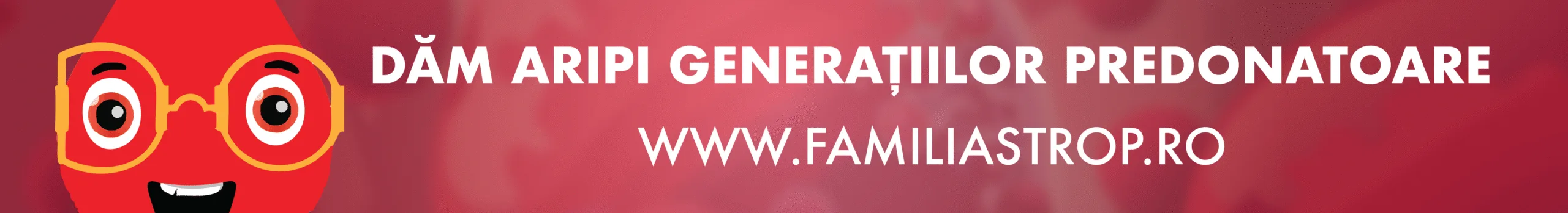 banner site strop scaled