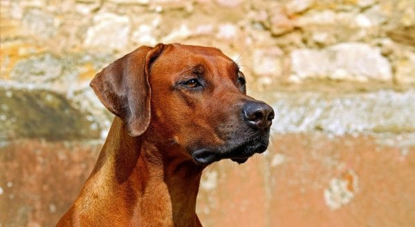 gbbac0050bc04523caed81c36492614df3ebab4ab141680953bc7b9a9b49aa4d115ac01dc2805e7e06c4c72f7b52469ddf0636a1f7bf7820df4eed5a61565ff88 1280 2727035 e1752933655294