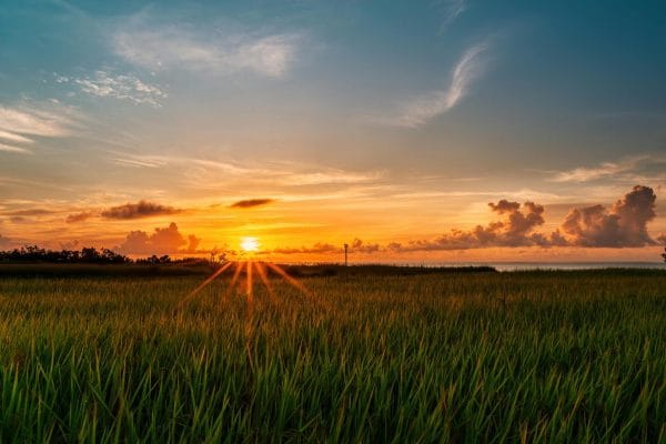 pexels photo 32660011 32660011 e1750511705662