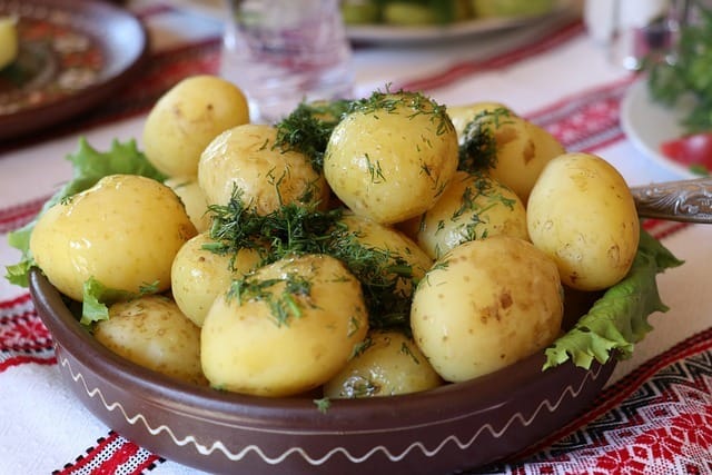ukrainian dill potatoes 2652561 640