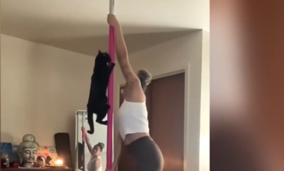 Screenshot 2025 10 27 124113