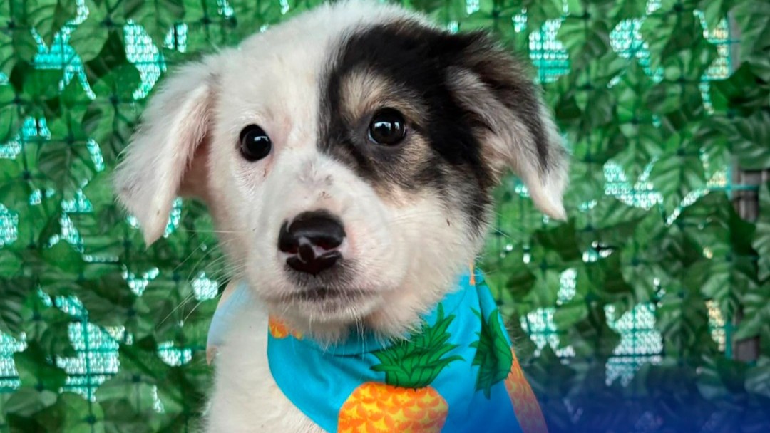 593576981 1193939869557815 1874656251378512297 n