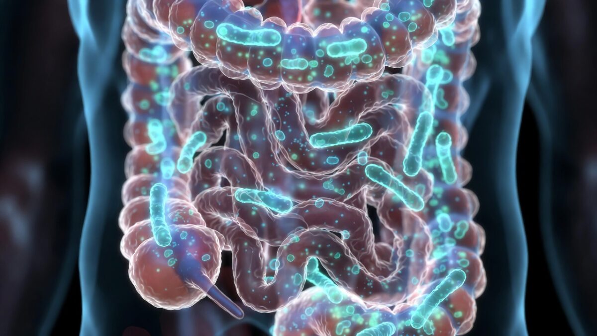 Ilustrație a microbiomului intestinal