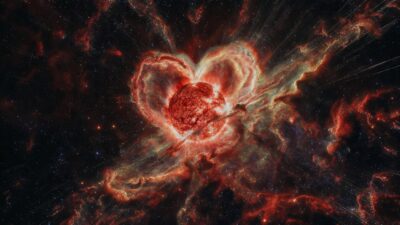 b1cd6b98 fe39 4014 894d 6fa3c1469c3f