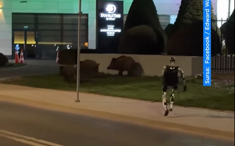 VIDEO VIRAL - Robotul umanoid care a devenit „șeriful” Varșoviei după ce a fugărit o turmă de mistreți 1 robot umanoid