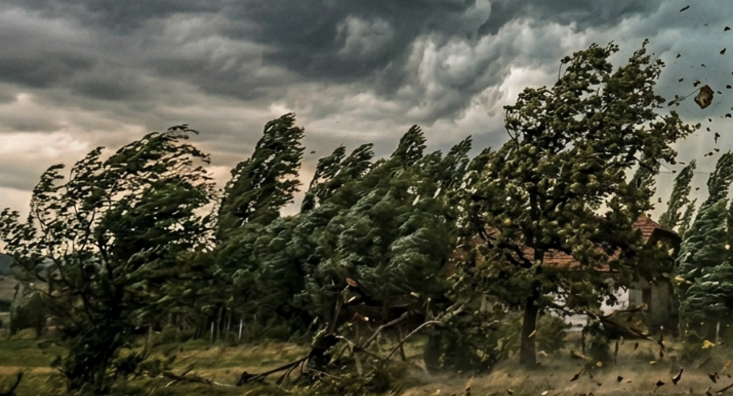 alerta meteo cod galben vânt