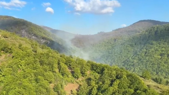 incendiu de vegetatie CS