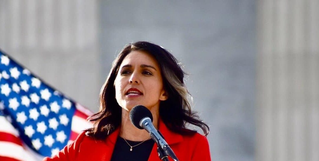 tulsi gabbard
