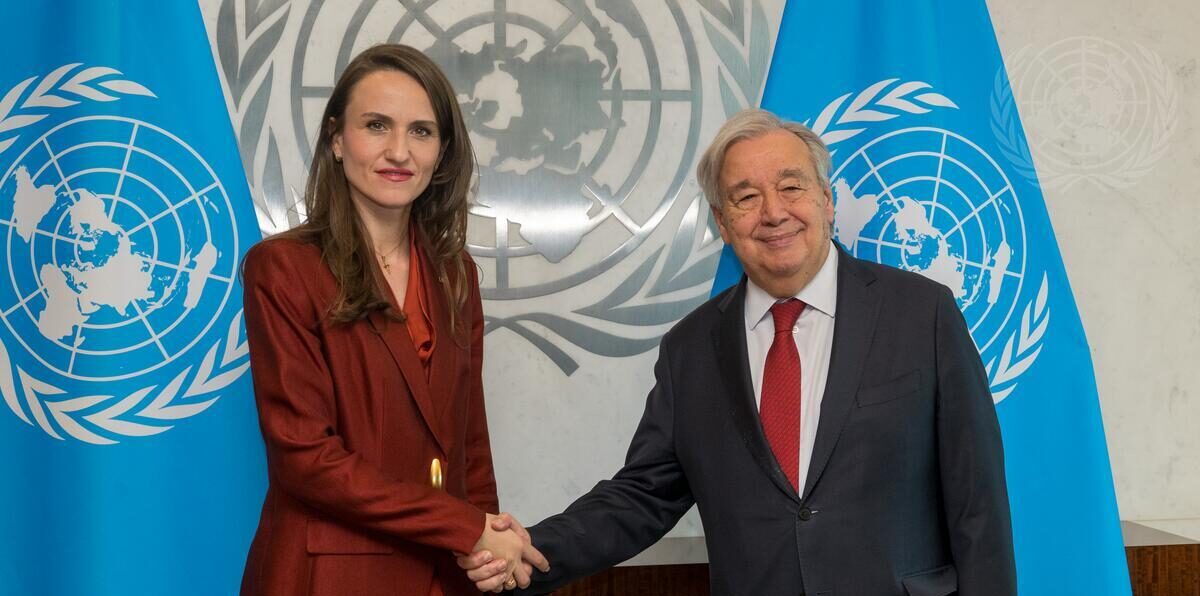 Oana Toiu ONU