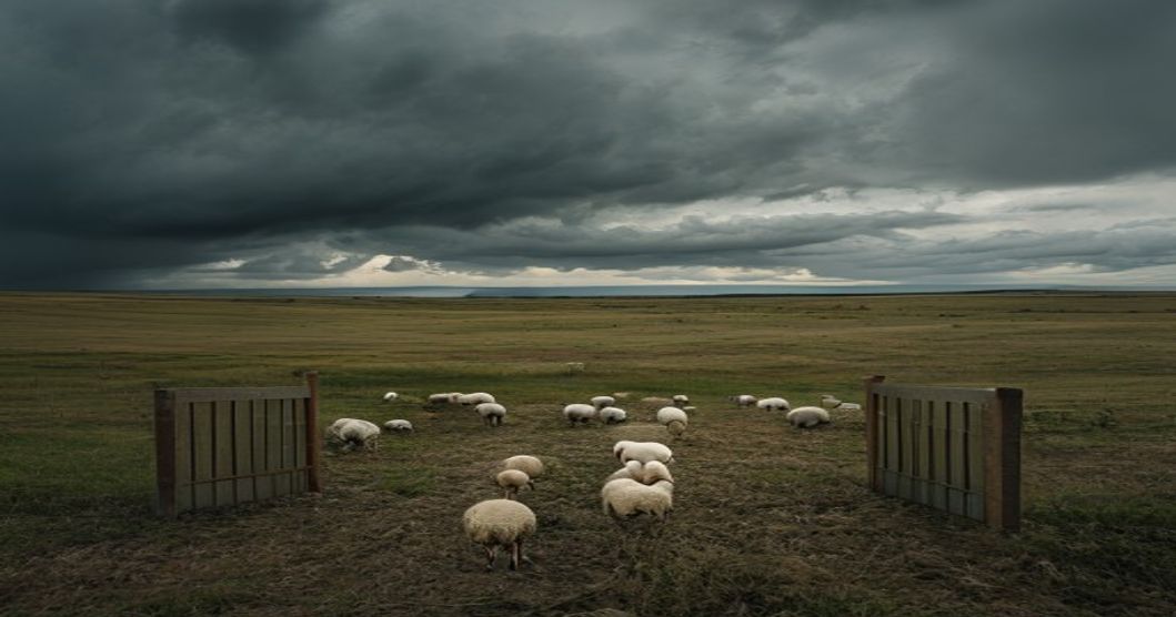 editorial news photography no text overlay no watermark photojournalism style 169 landscape for (7)