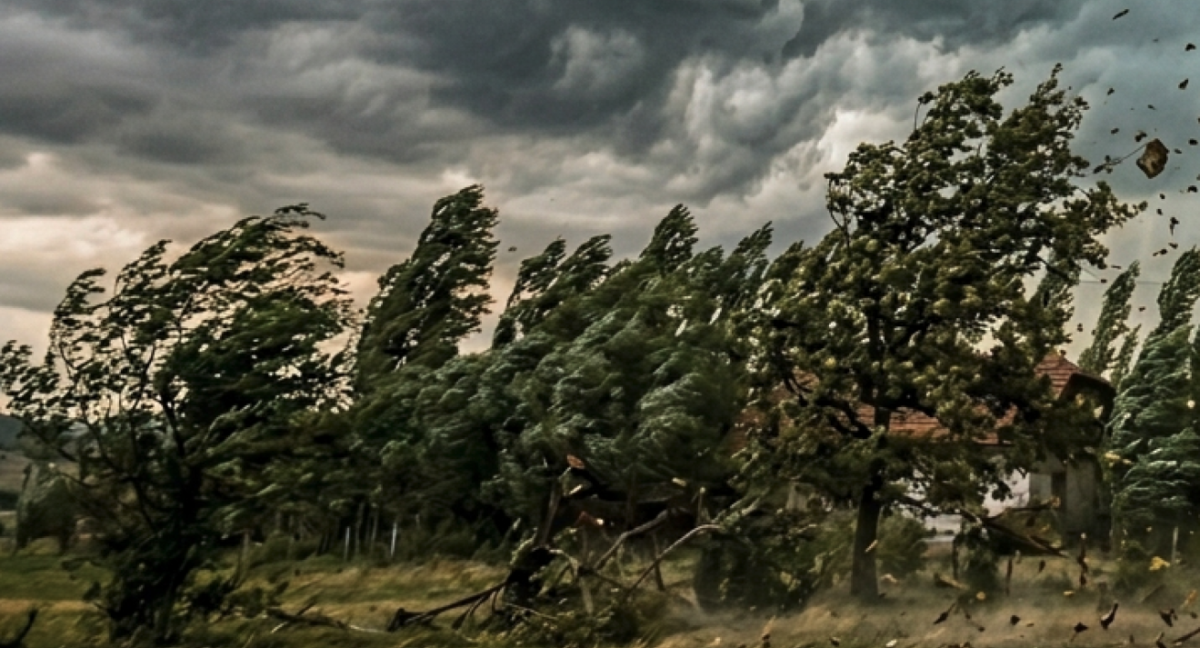 Screenshot 2026 05 28 at 12.40.31 1320x713 1 1200x648 1